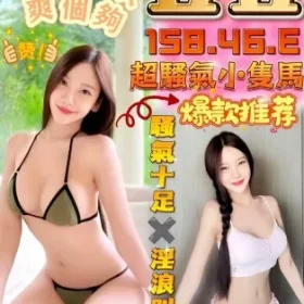 台中定點茶-豆豆