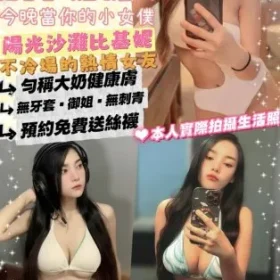 台北定點茶-比基尼