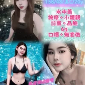 新北定點茶-糖娜