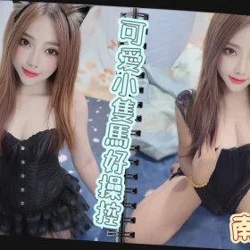 台南定點茶-南希1