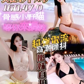 台南定點茶-雞排妹