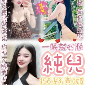 台北定點茶-純兒